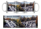 Bond Falls