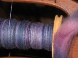 blue-purple merino