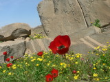 lali,north of khuzestan province,Iran