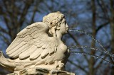 Aranjuez -Jardn de la Isla