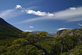 Near Laguna Torre