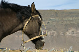 Near El Calafate