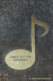 James Cotton Superharp