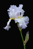 D25_8253 R.jpg