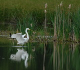 D27_7136.jpg