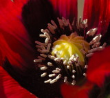 D27_7617.jpg