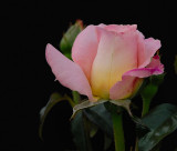 D27_7744.jpg