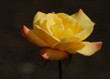 D27_6789.jpg