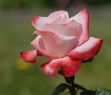 D27_6818.jpg