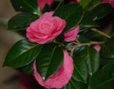 D23_3256.jpg