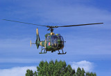 Gazelle.jpg