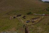 Another view of the excavation. You can see how large the red topknots are.  Huge!