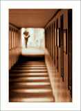 3rd place: Corridor -Fred
