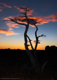 4th Place<br>Sunset on Black Ridge by Albert Yanowich Jr.