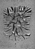 In the Manner of Aaron Siskind by Warren Sarle