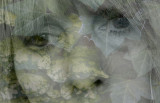 4th (tie)<br>Melancholy by Flick Merauld