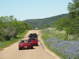Texas wildflowers April 2010-89.jpg