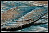 Old Rope.