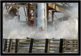 The Log Flume