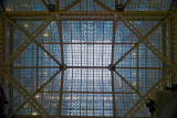 Rookery 05