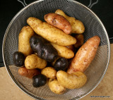 Fingerlings