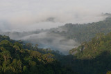 Two trips to Lampakbia and Kaengkrachan Jan/Feb 2010