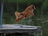 Bigger Leap!