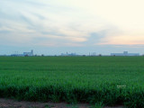 AO 001.JPG