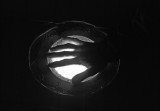 Palm reading...