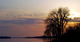 Calmness...