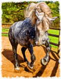 DPR_HorsePainting.jpg