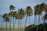 Maui is windy!