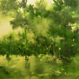 Green Woods 30x30 X.JPG