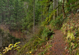 Weisendanger Falls Trail 1280 .jpg
