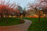 REJ_5522A.jpg (Up To 30 x 45)