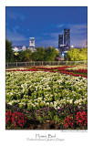 Flower Bed.jpg