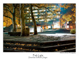 Park Light.jpg