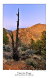 Staender Ridge.jpg