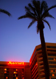 Ruby Hotels