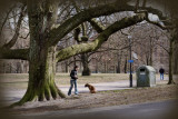 The tree and the dog.