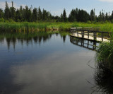 Clear Lake and boardwalk