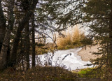 Ice on Lakeshore Walk