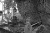 Coulson Cemetery3.jpg