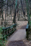 P1100816-1.jpg