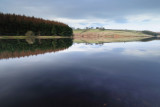 Thruscross Reservoir  10_DSC_0385