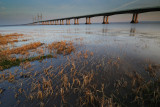 Severn Bridge  10_DSC_0656