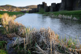 Caerphilly Castle 10_DSC_0855