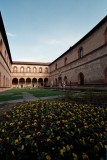 Inside Castello Sforzesco