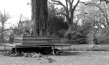 Inside Porta Venezia Gardens