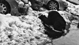 Praying in the snow